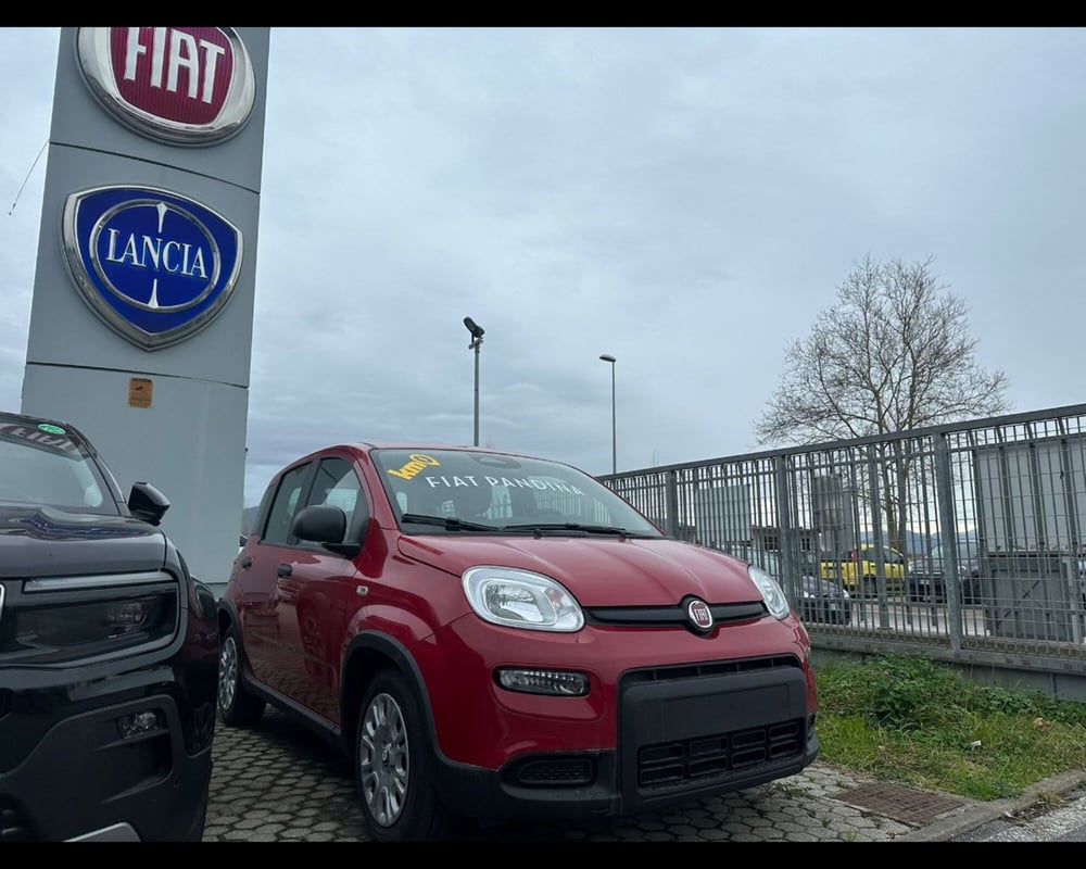 Fiat Panda Cross nuova a Lucca