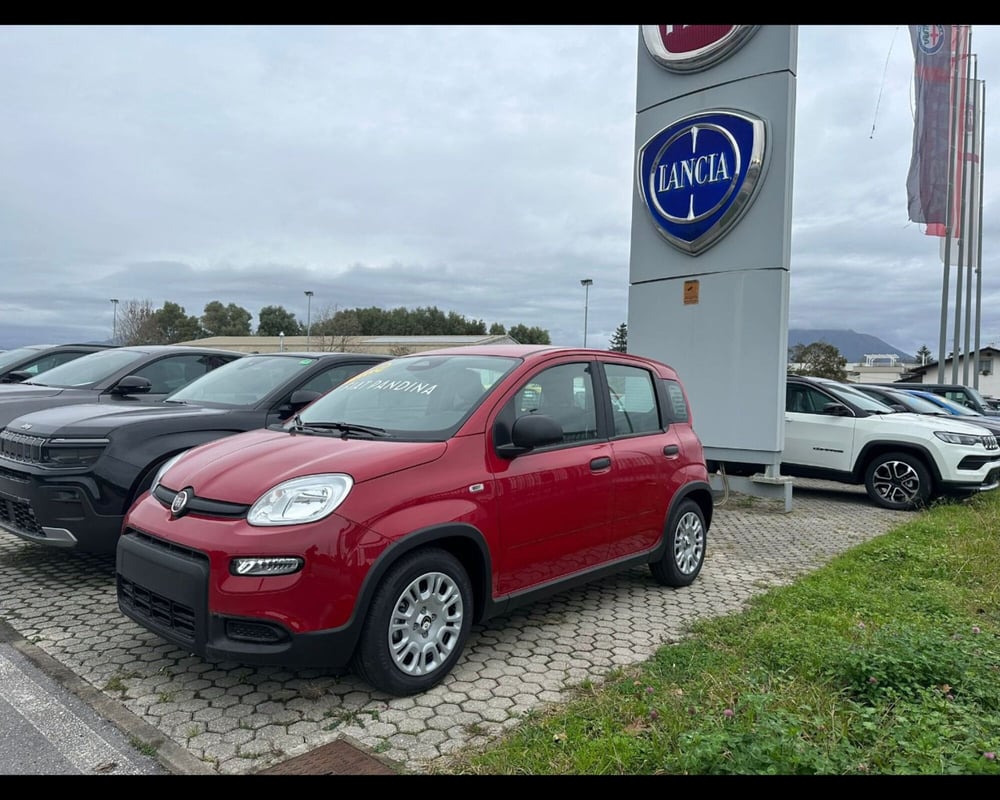 Fiat Panda Cross nuova a Lucca (3)