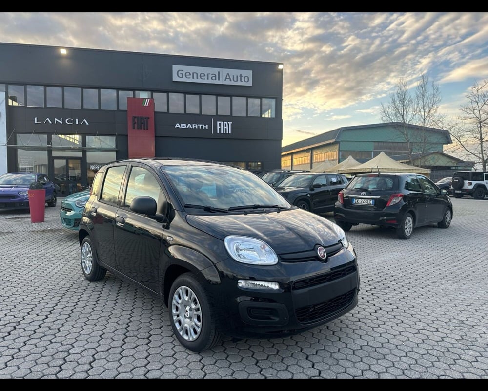 Fiat Panda nuova a Lucca