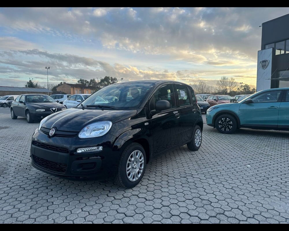 Fiat Panda nuova a Lucca (3)