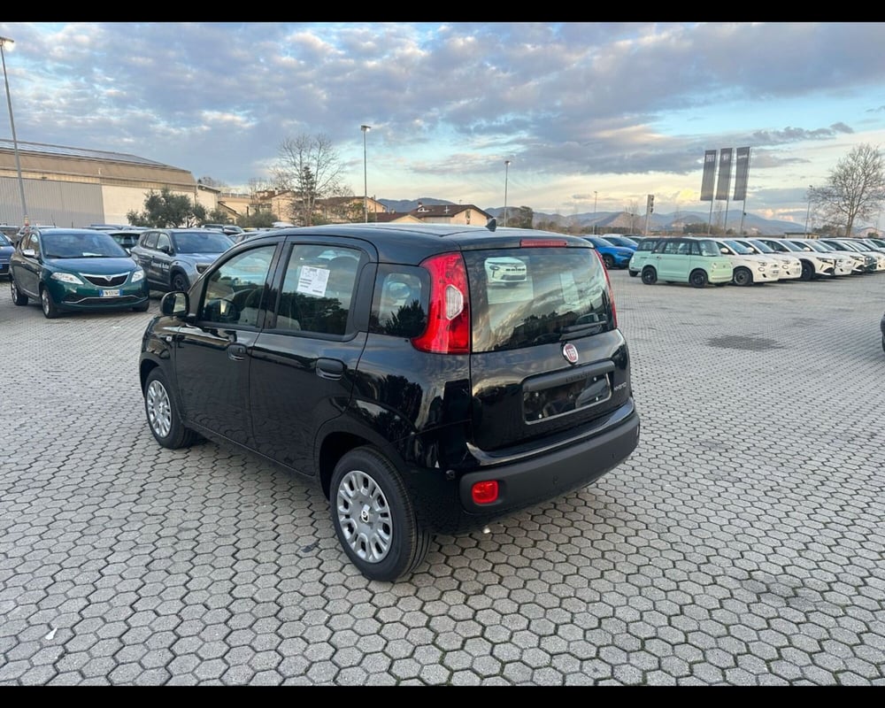 Fiat Panda nuova a Lucca (5)