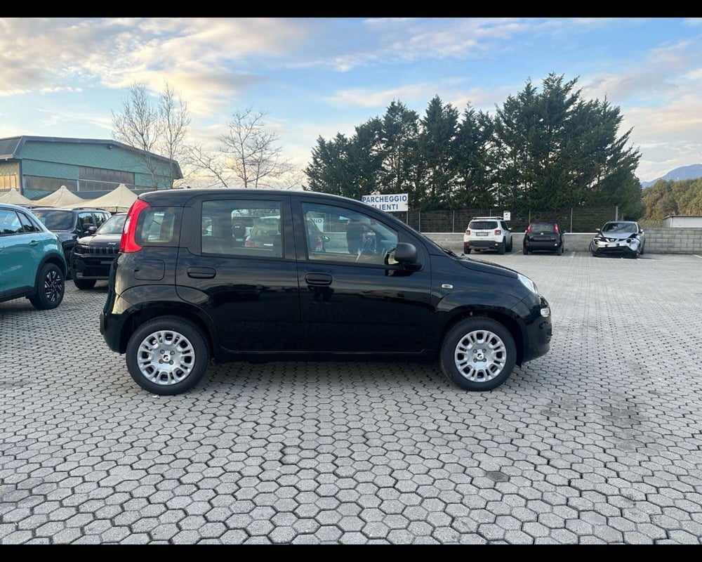 Fiat Panda nuova a Lucca (9)