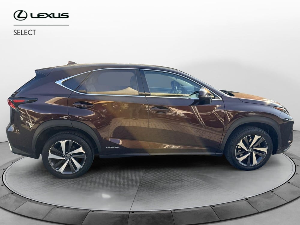 Lexus NX usata a Como (13)