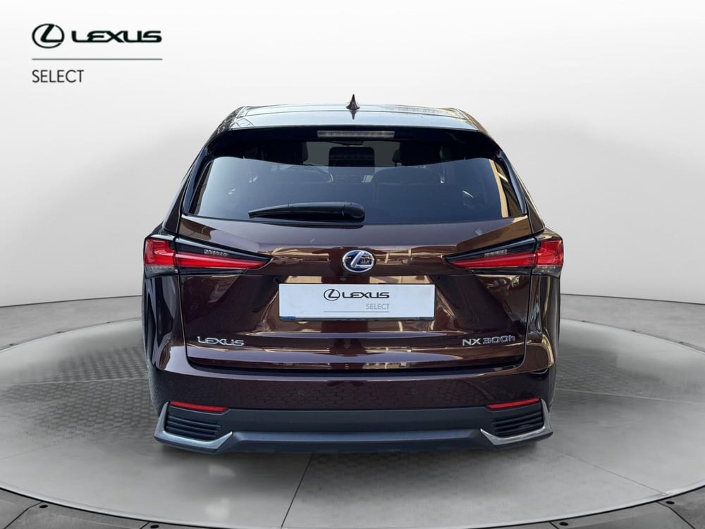 Lexus NX usata a Como (4)