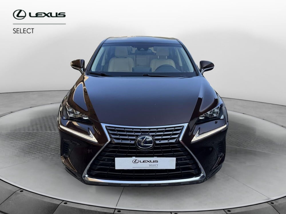 Lexus NX usata a Como (5)