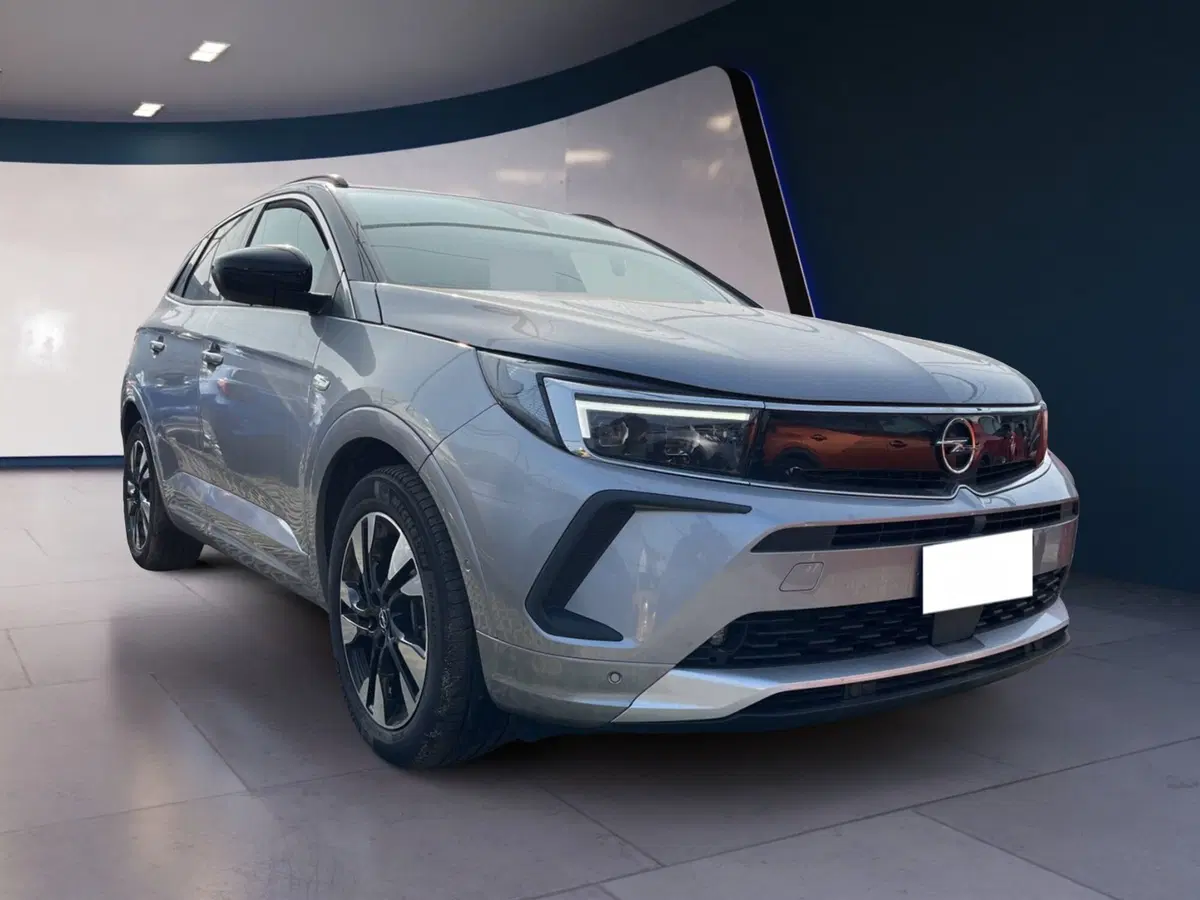 Opel Grandland usata a Torino (2)