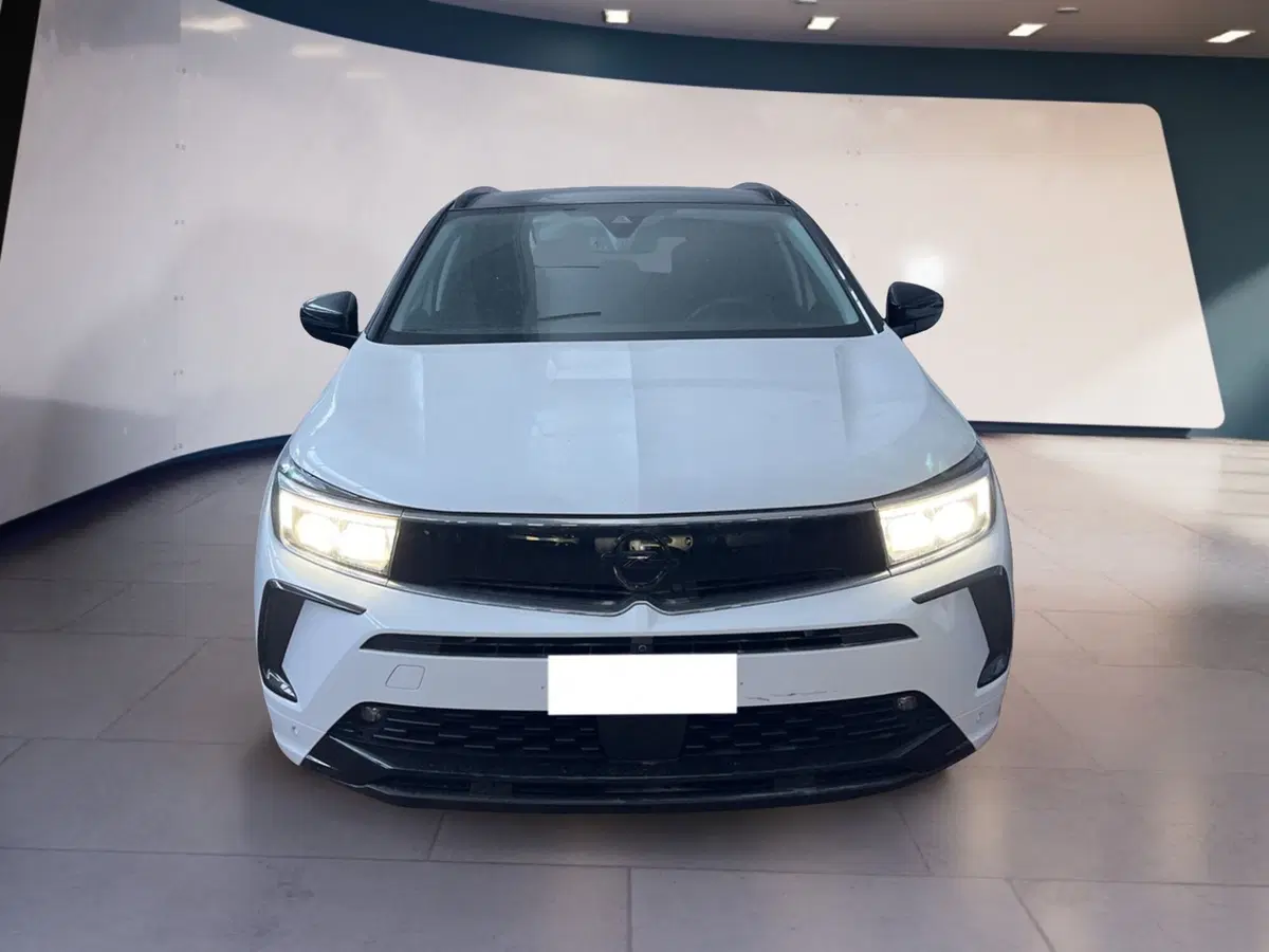 Opel Grandland usata a Torino
