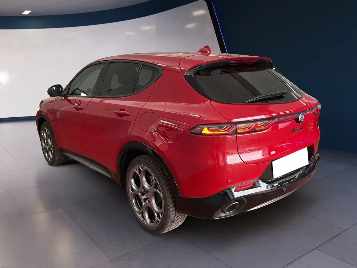 Alfa Romeo Tonale usata a Torino (6)
