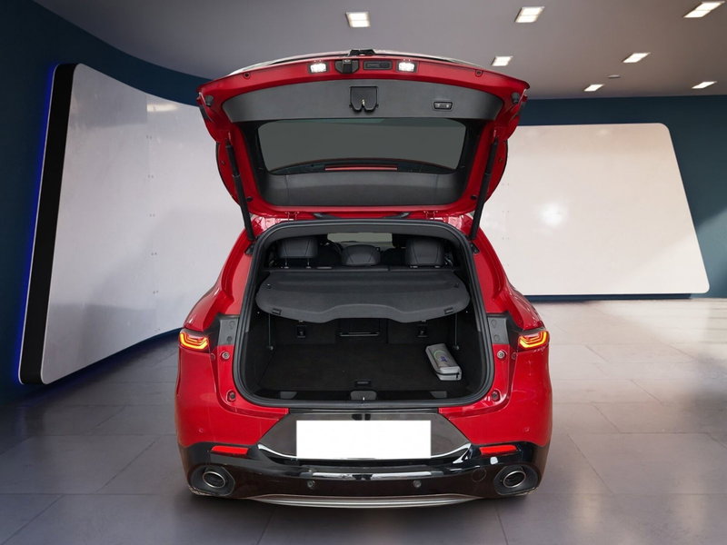 Alfa Romeo Tonale usata a Torino (7)