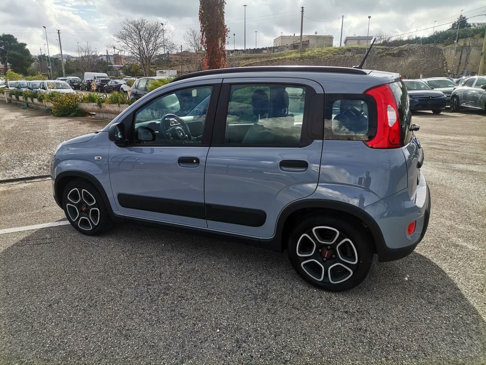 Fiat Panda usata a Matera (8)