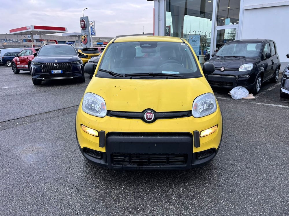 Fiat Panda Cross nuova a Milano (2)