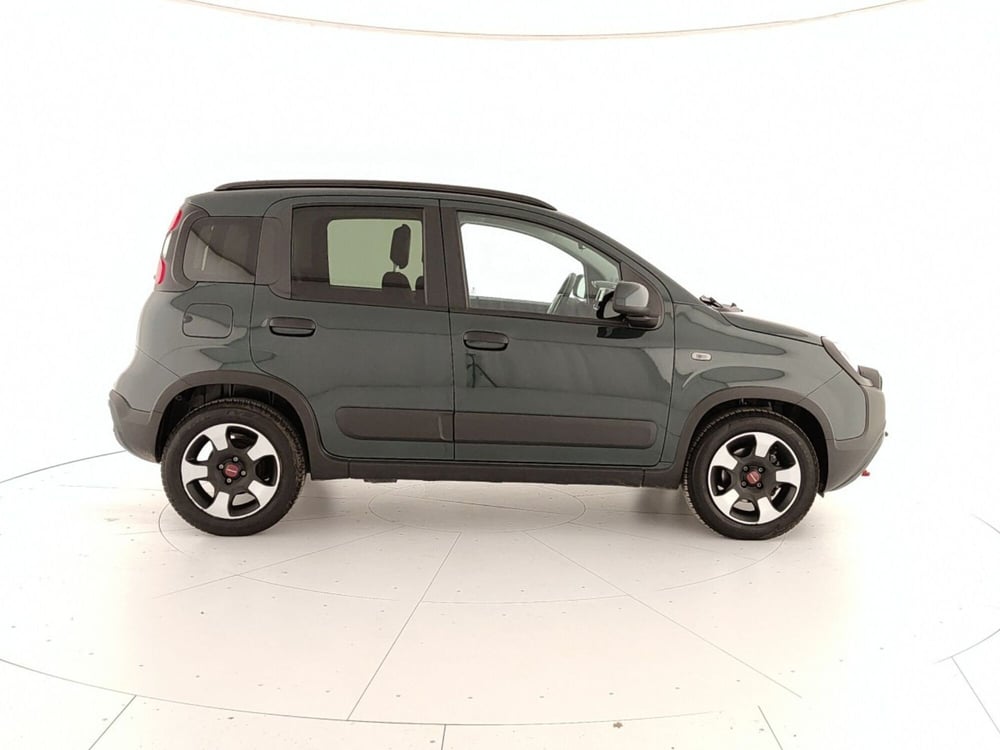 Fiat Panda Cross usata a Caserta (7)