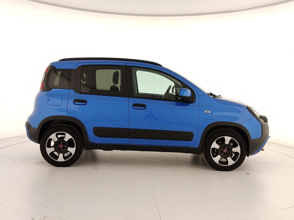 Fiat Panda Cross usata a Caserta (7)