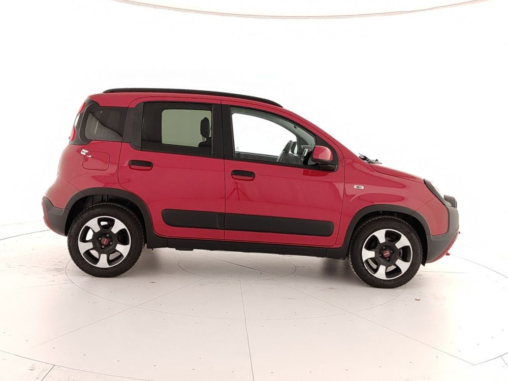 Fiat Panda Cross usata a Caserta (7)