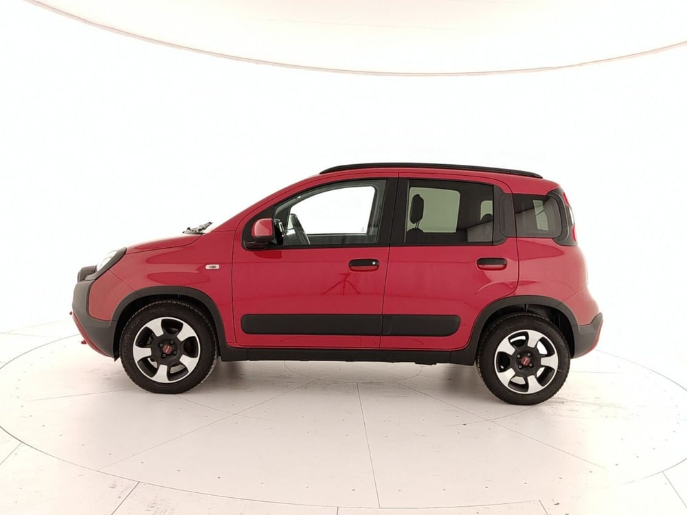 Fiat Panda Cross usata a Caserta (8)