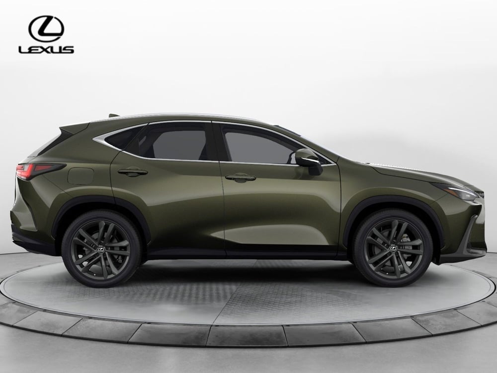 Lexus NX nuova a Cremona (5)