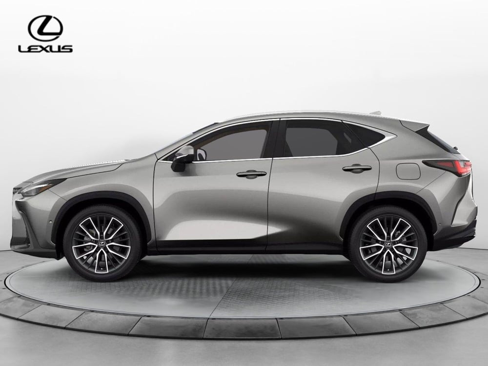 Lexus NX nuova a Cremona (3)