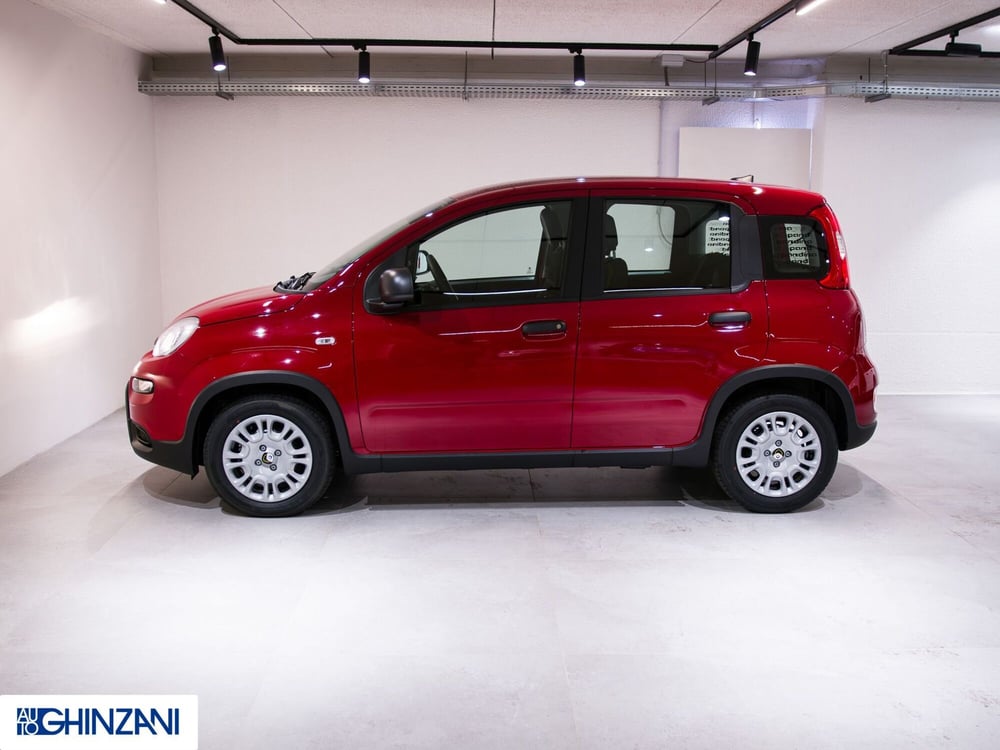 Fiat Panda Cross nuova a Bergamo (5)