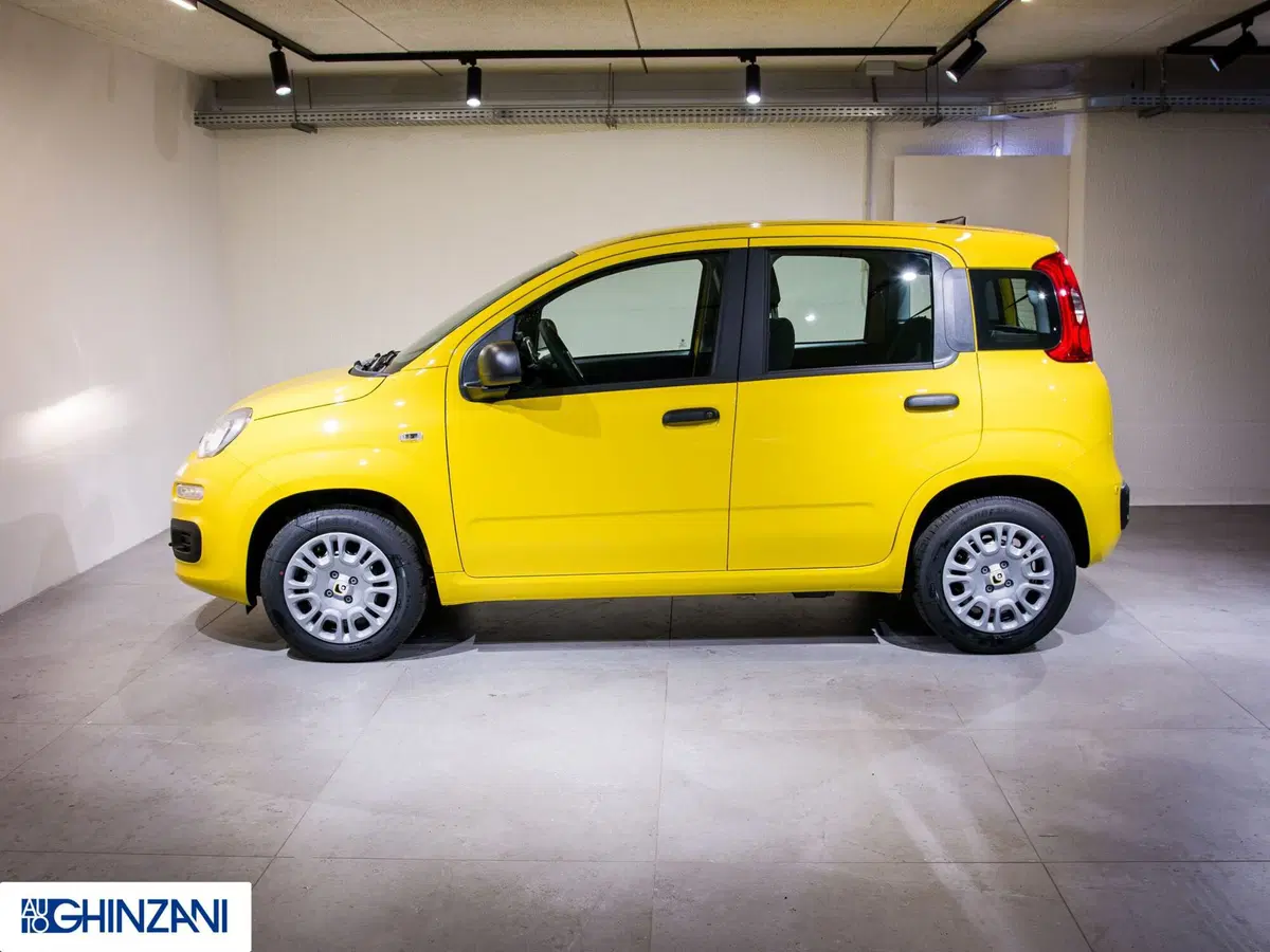 Fiat Panda Cross nuova a Bergamo (5)