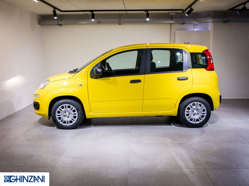 Fiat Panda Cross nuova a Bergamo (5)
