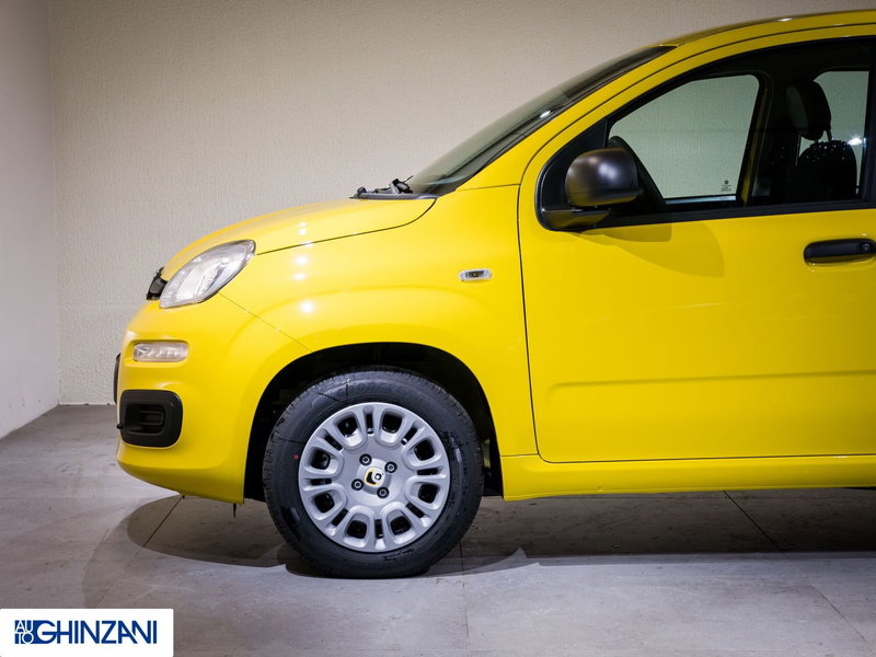 Fiat Panda Cross nuova a Bergamo (9)