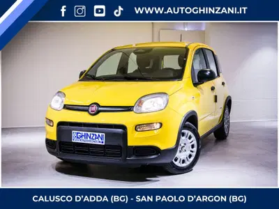 Fiat Panda Cross Cross 1.0 FireFly S&amp;S Hybrid nuova a Calusco d'Adda
