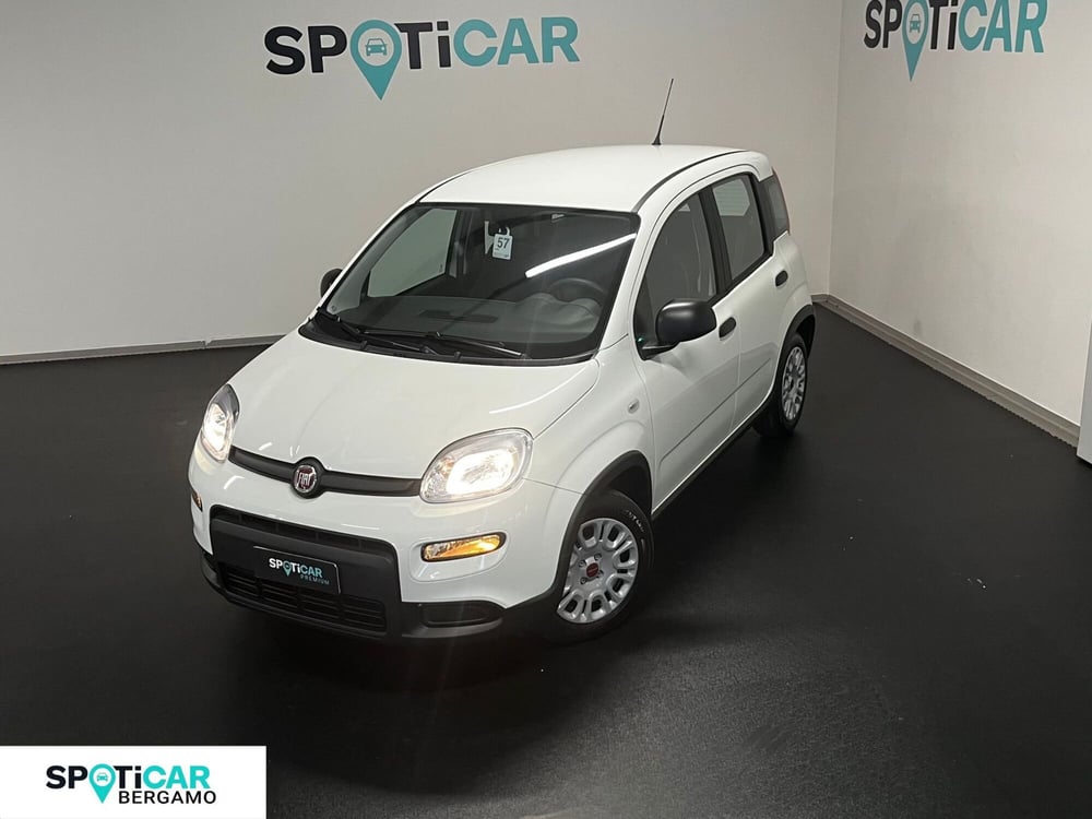 Fiat Panda Cross nuova a Bergamo (14)