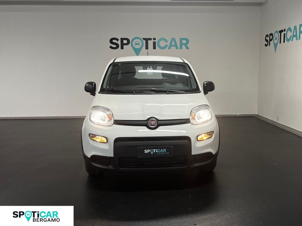 Fiat Panda Cross nuova a Bergamo (15)