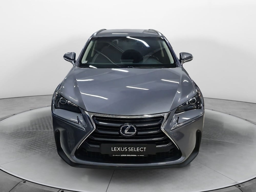 Lexus NX usata a Bologna (2)