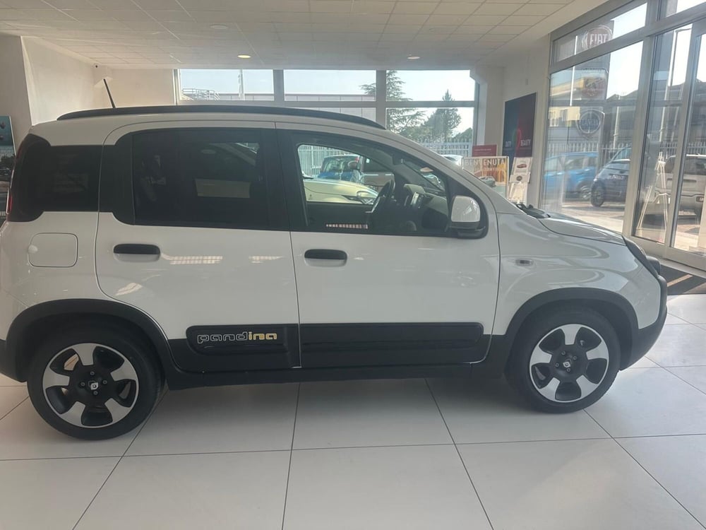 Fiat Panda Cross nuova a Benevento (2)