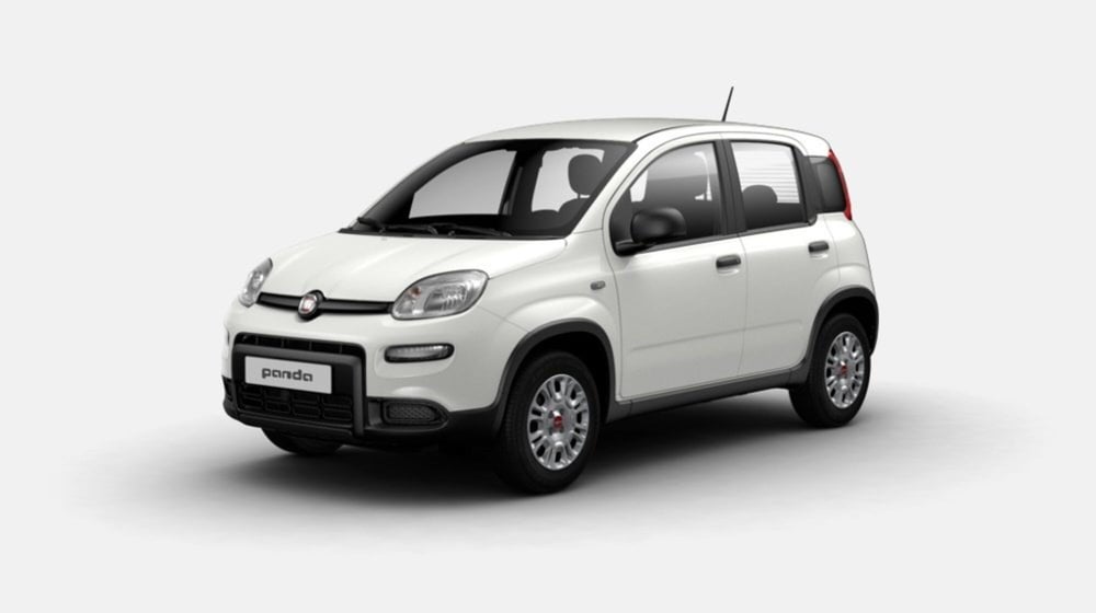 Fiat Panda nuova a Livorno