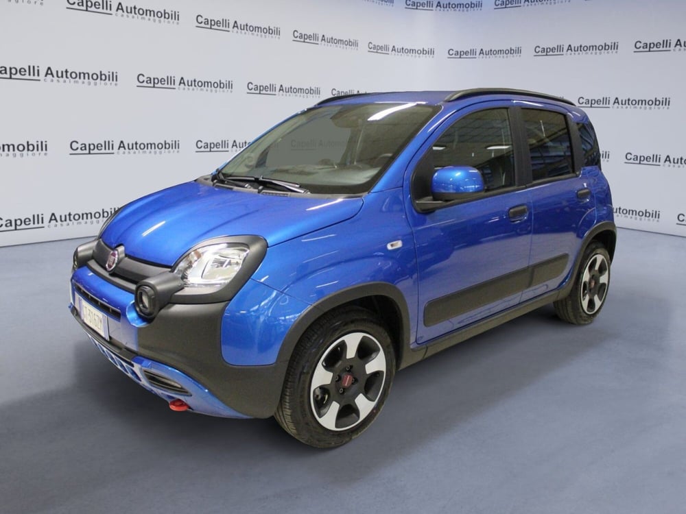 Fiat Panda Cross usata a Cremona