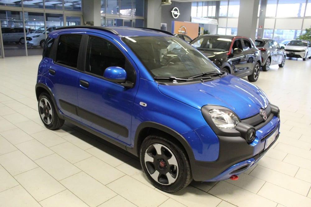 Fiat Panda Cross usata a Cremona (2)