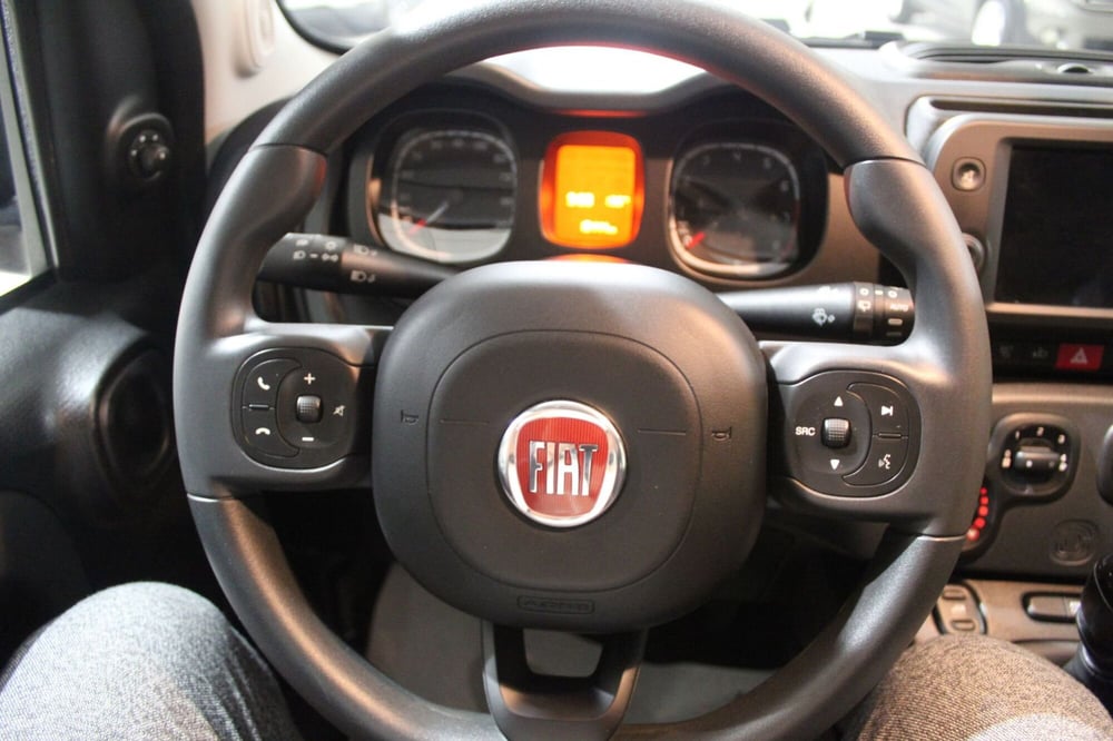 Fiat Panda Cross usata a Cremona (10)