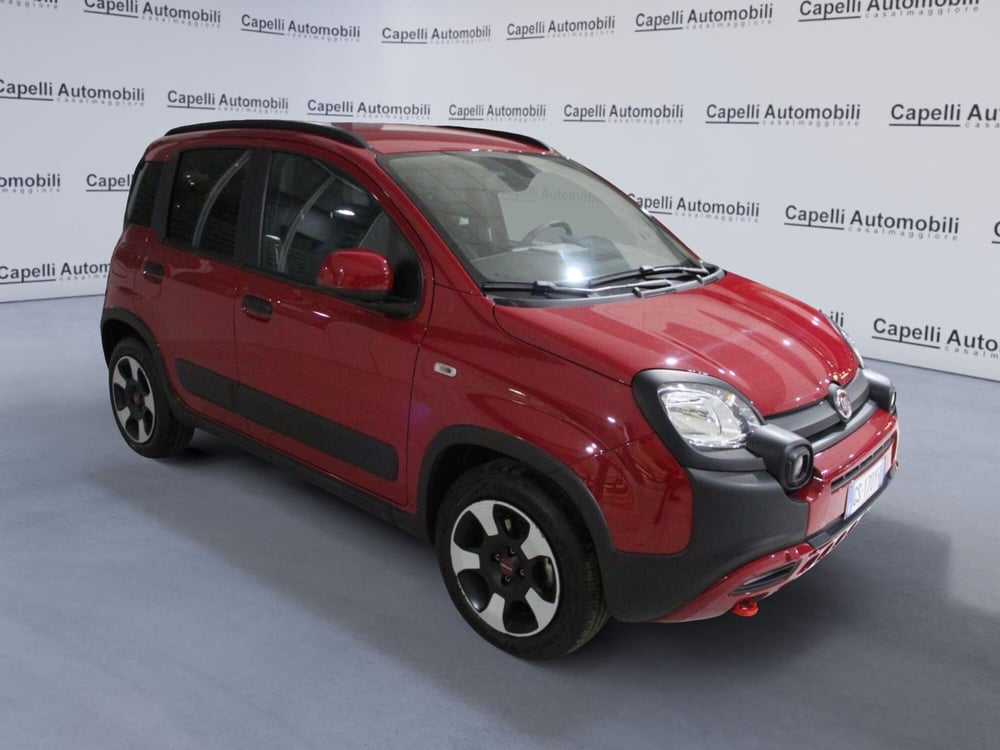 Fiat Panda Cross usata a Cremona (2)