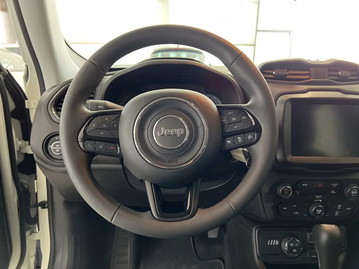 Jeep Renegade usata a Pisa (11)