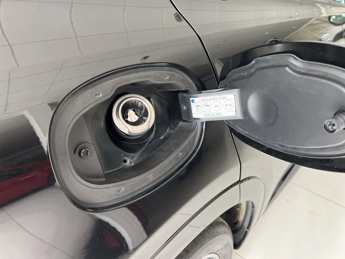 Alfa Romeo Tonale nuova a Pisa (16)