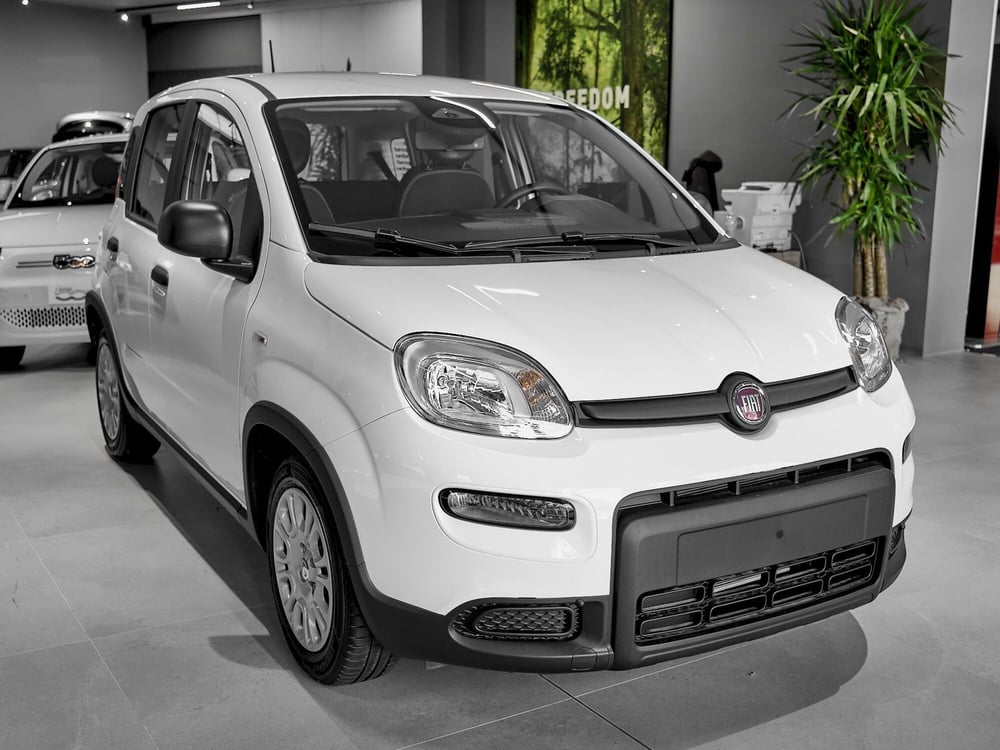 Fiat Panda Cross nuova a Prato (2)