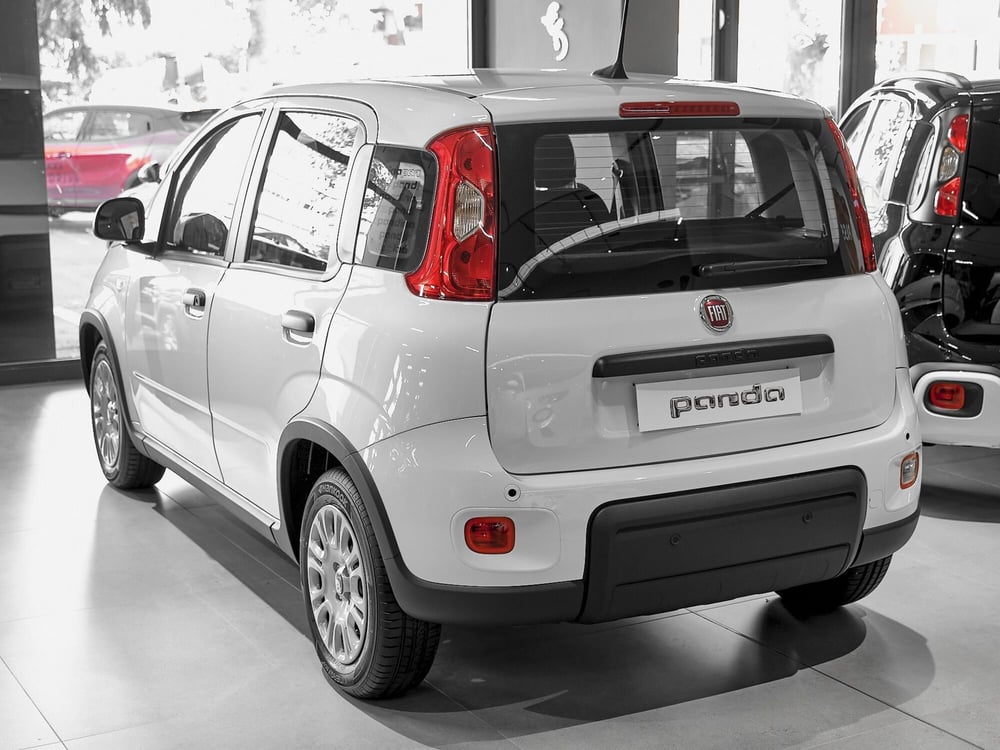 Fiat Panda Cross nuova a Prato (4)