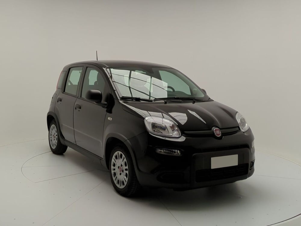 Fiat Panda Cross usata a Avellino