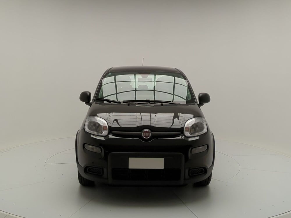 Fiat Panda Cross usata a Avellino (2)