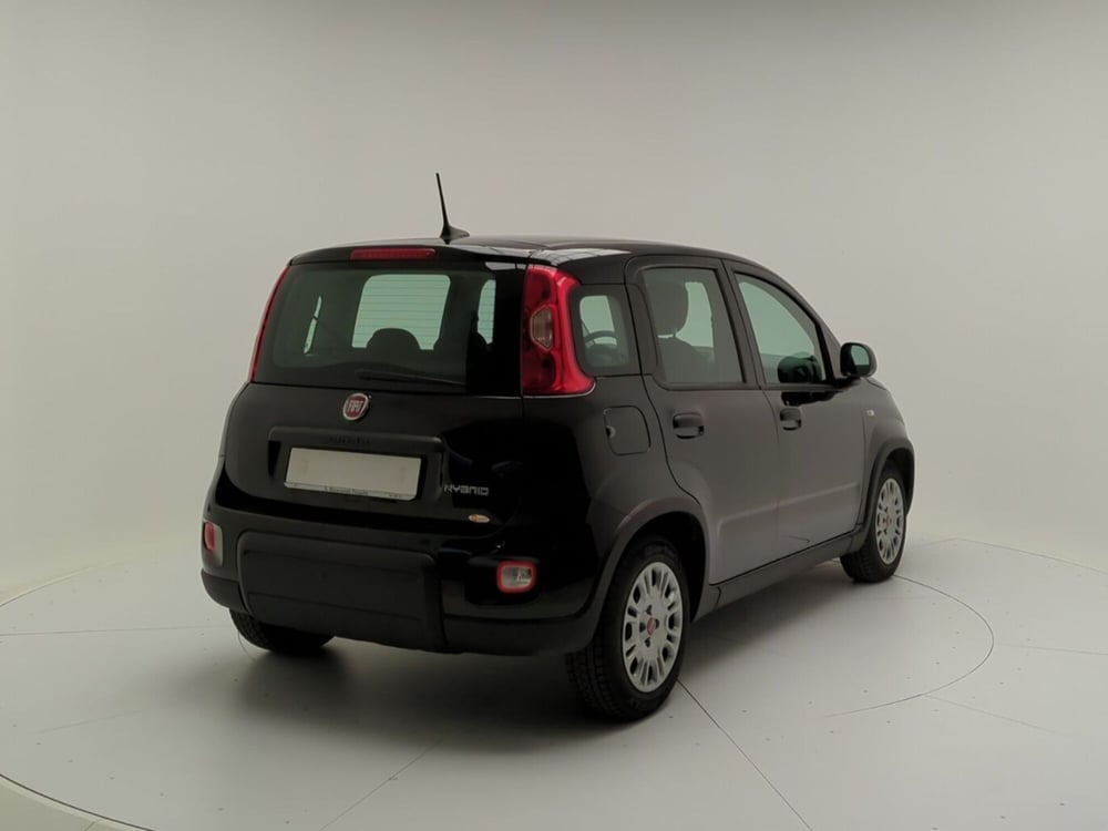 Fiat Panda Cross usata a Avellino (7)