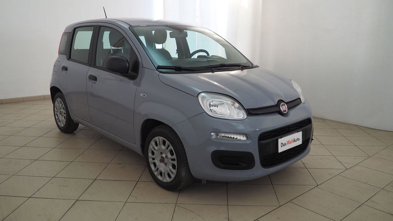 Fiat Panda Cross usata a Torino