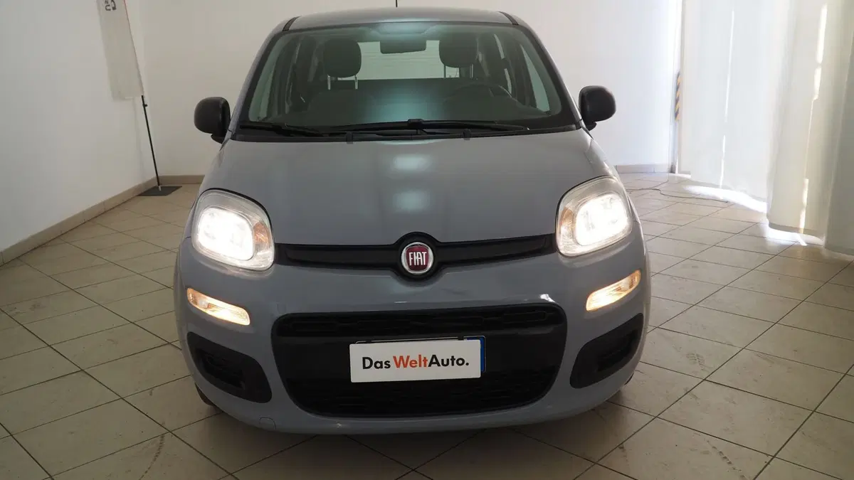 Fiat Panda Cross usata a Torino (16)