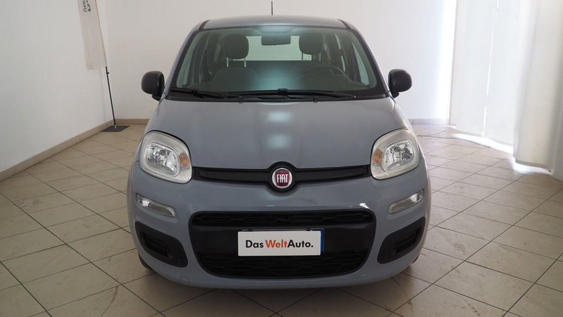 Fiat Panda Cross usata a Torino (2)