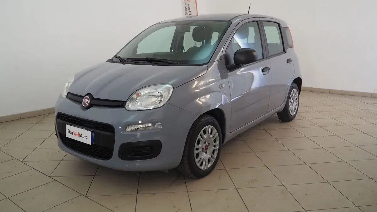 Fiat Panda Cross usata a Torino (3)