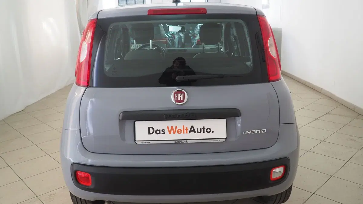 Fiat Panda Cross usata a Torino (5)
