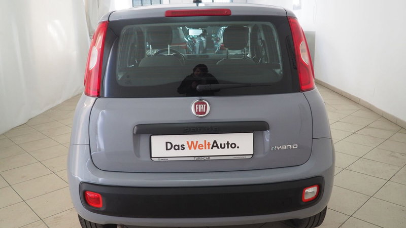 Fiat Panda Cross usata a Torino (5)