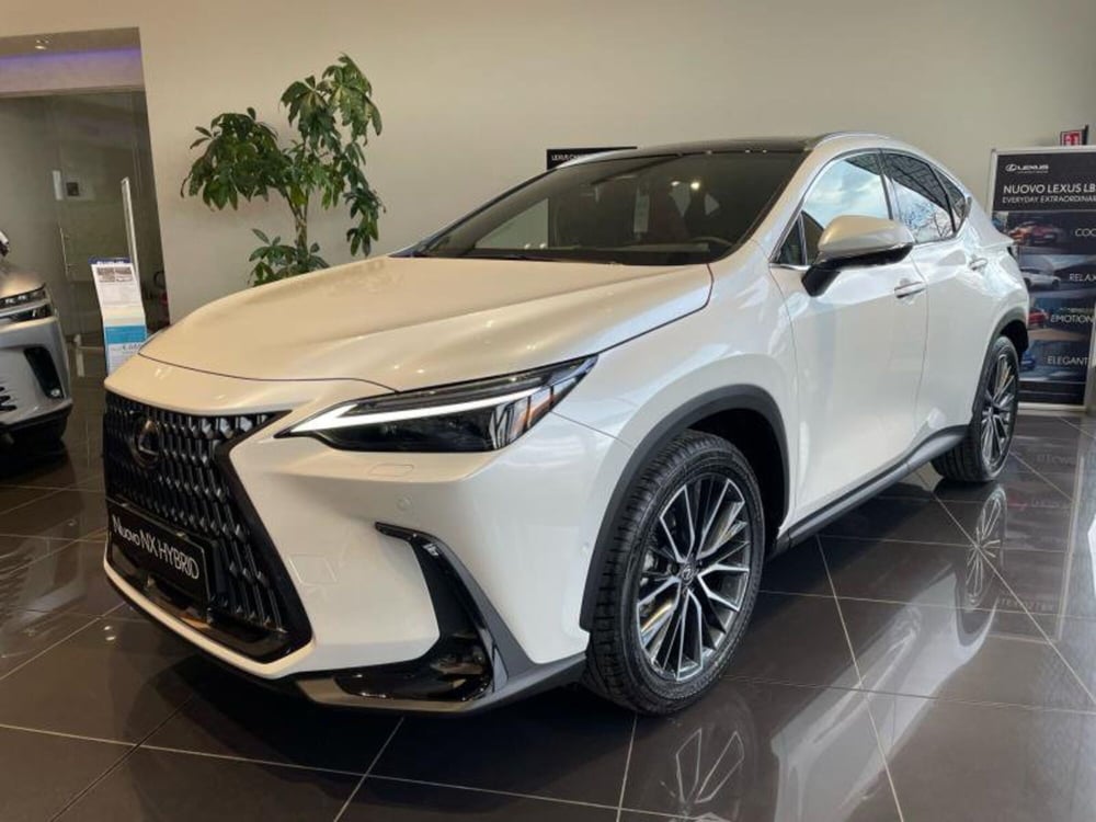 Lexus NX nuova a Perugia