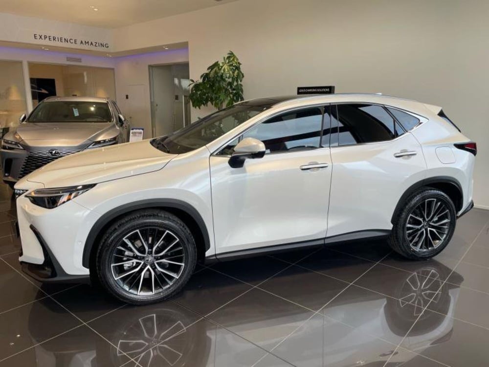 Lexus NX nuova a Perugia (2)